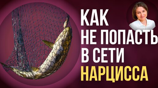 Как не реагировать на нарциссов. 4 правила как игнорировать нарцисса.