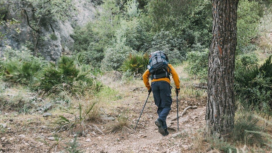     Источник: freepik.com