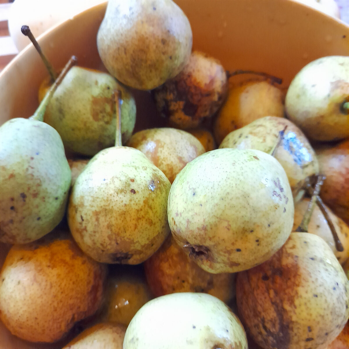 Плоды достаточно мелкие и не могут сравниться по красоте и вкусу с южными сортами