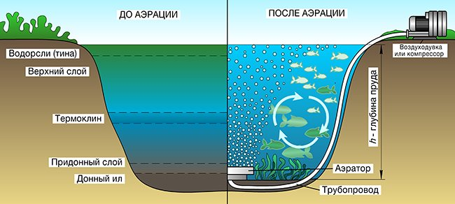 Аэрация водоема. Источник фото - сайт: https://clck.ru/32JzAo