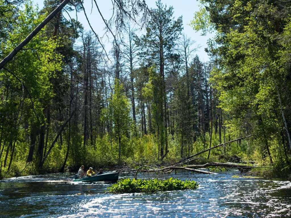 Загадка озера Энетор | Уральский следопыт 🌲uralstalker | Дзен