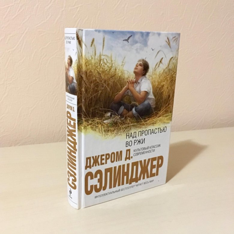 Почти до конца книги, я ждала развития событий. Но так и не дождалась...