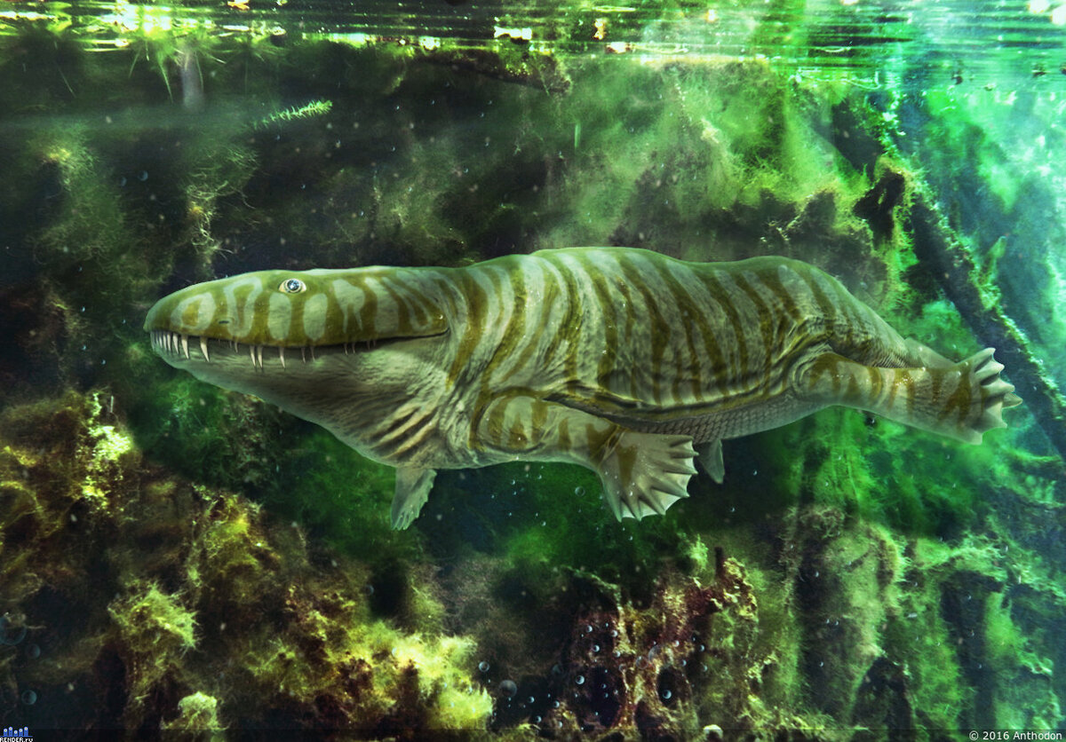 Под впечатлением от нового крутого фильма.