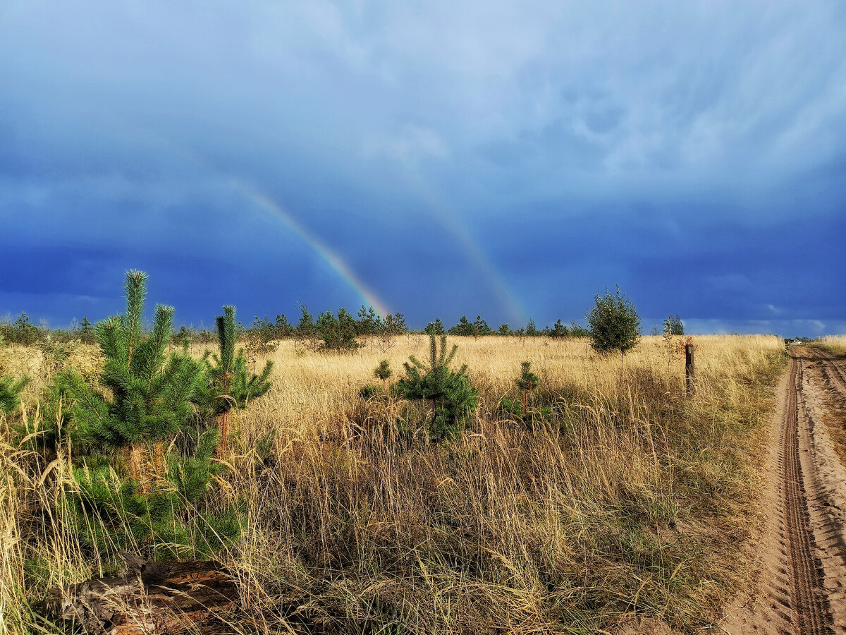 Нам повезло - в момент прогулки вышло Солнце