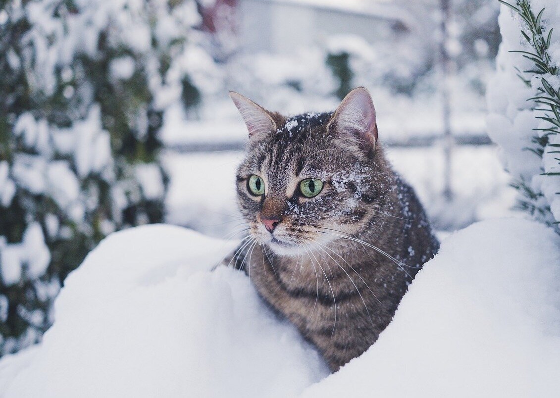Спасибо, что прочитал(-а)! 