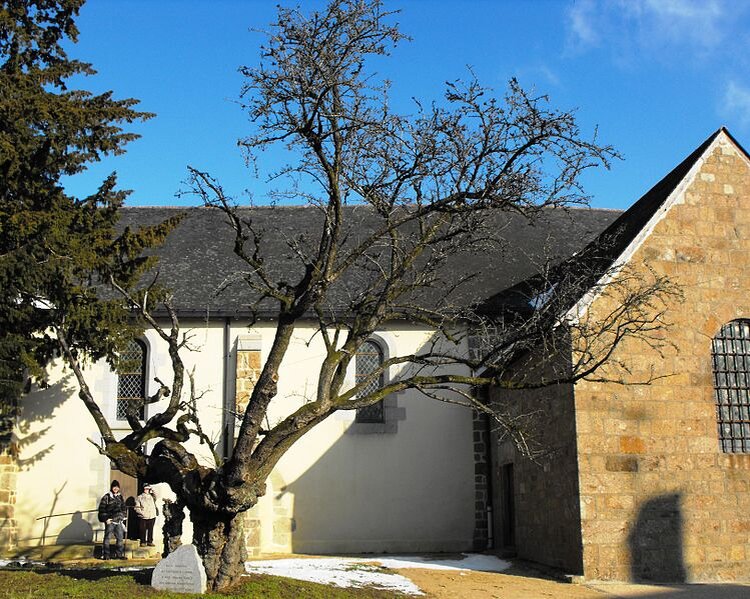 Самый старый боярышник во Франции, коммуна Сен-Марс . Утверждают, что он был посажен в 3 веке.