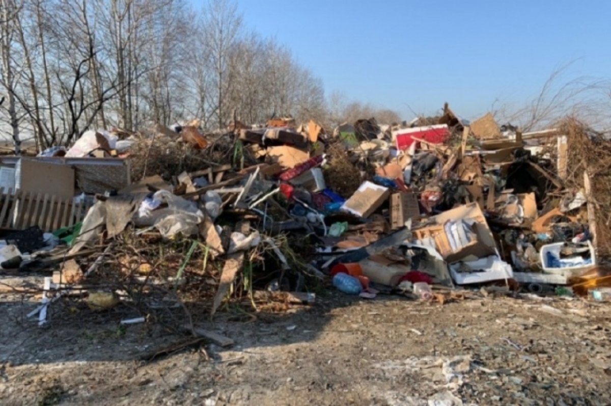   Фото для иллюстрации.