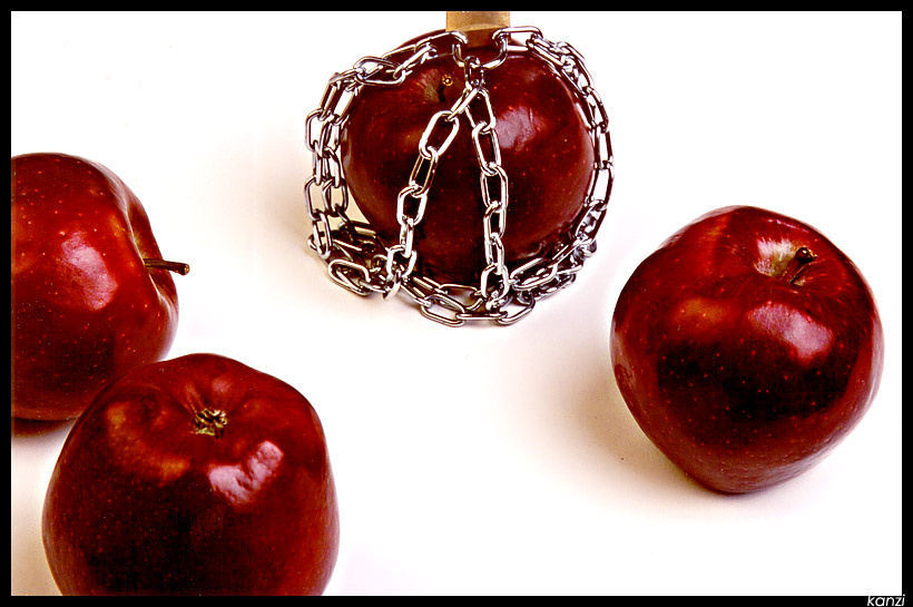 Запретный плод