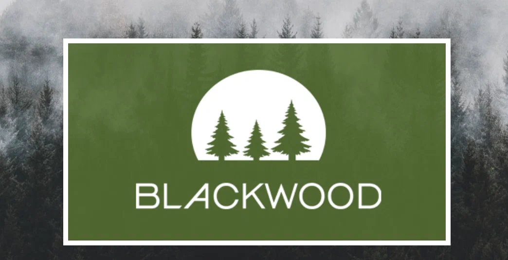 Имитация бруса из Ясеня от компании Blackwood