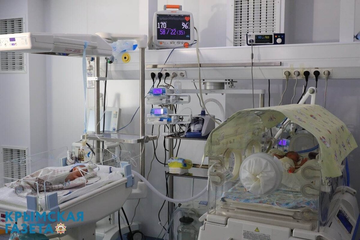 Фото: Наталья Сомова