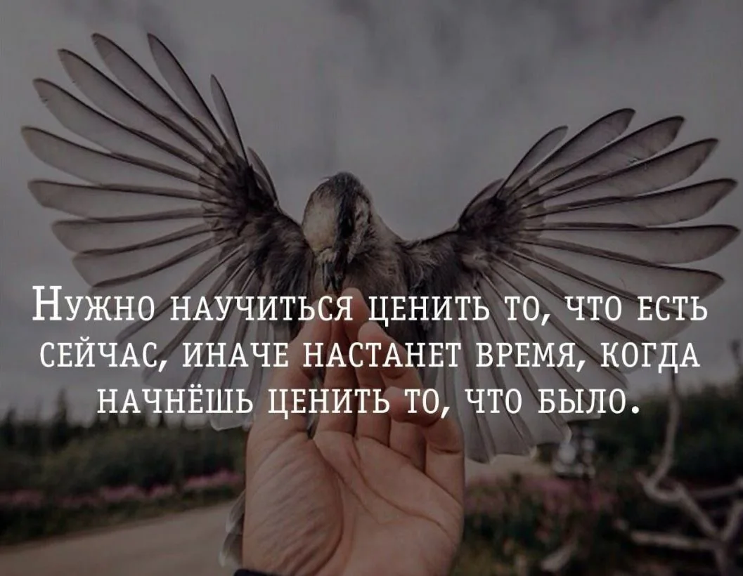 Кажется, в мире нет такого человека, который бы не мечтал. В детстве наши мечты были самыми безрассудными, по мере взросления желания все больше начали концентрироваться на нашем будущем.-2