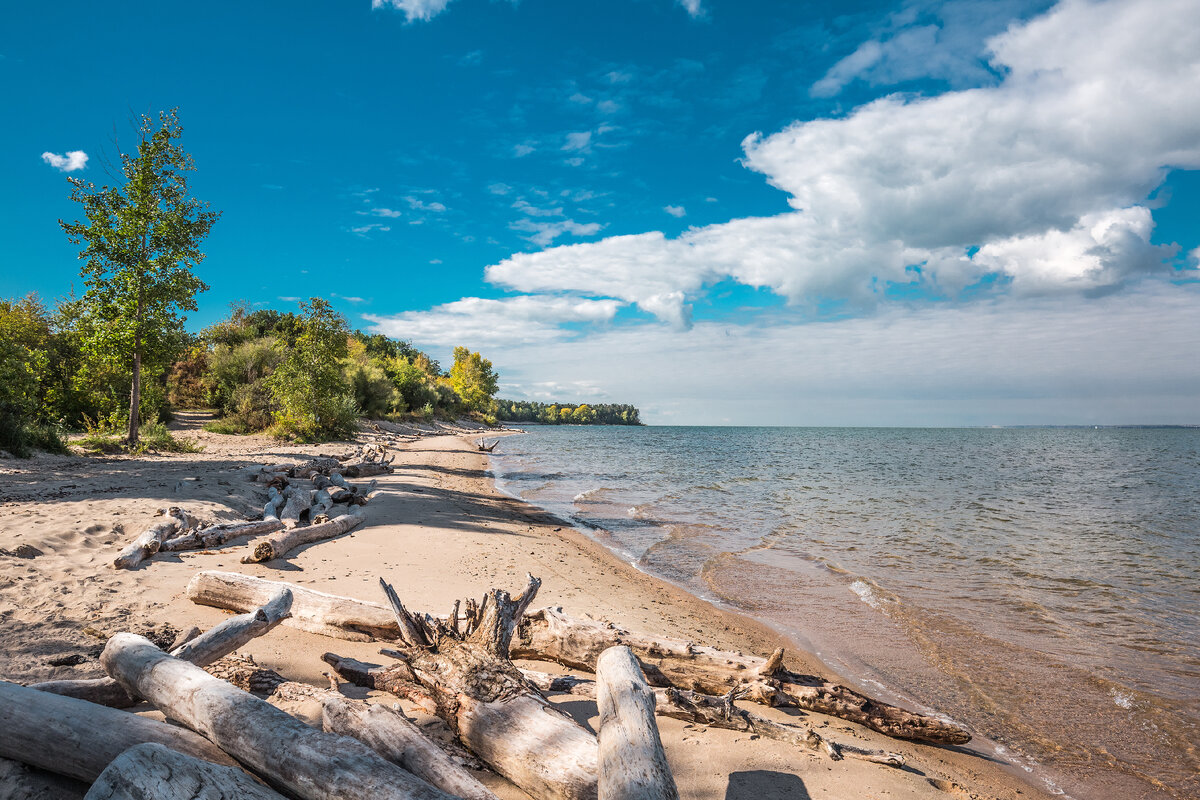 Обское водохранилище новосибирск сегодня