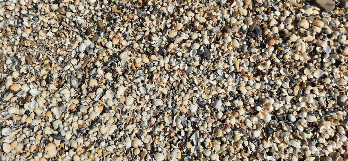 Все они были жизнью в море, все они превратятся в песок времени...