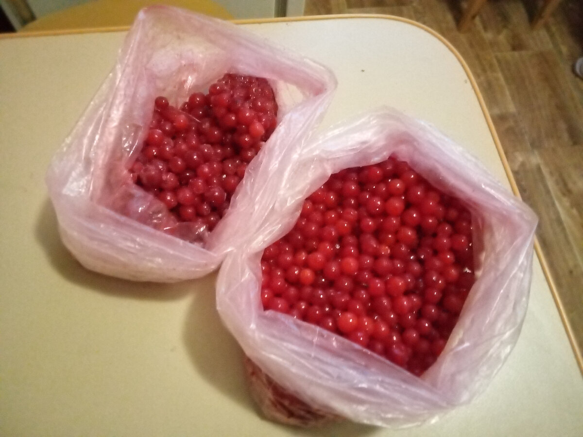 Фото моё. Но что-то здесь - калина, тоже неплохо.