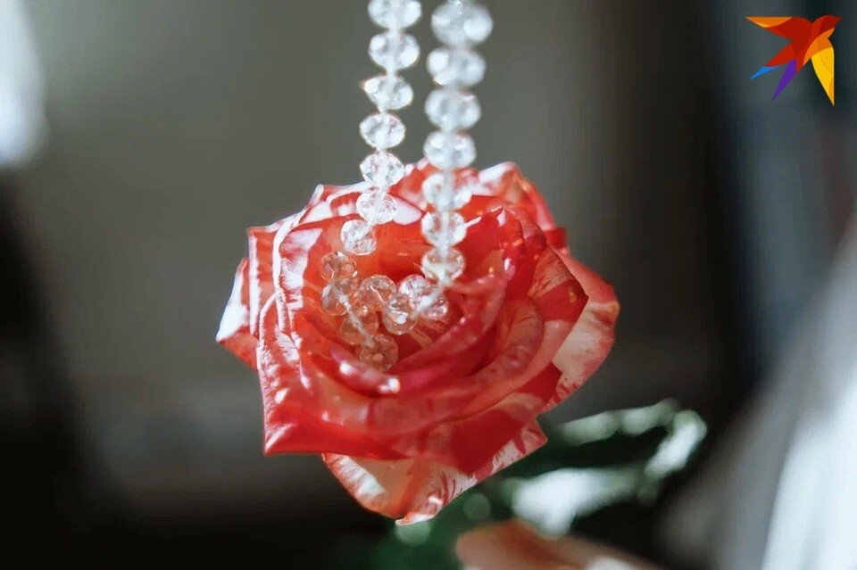     Пришло время перемен Мария Бакланова