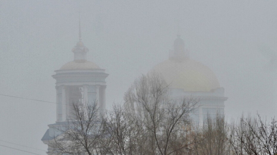    Автор фото: Евгения Емельянова (из архива)