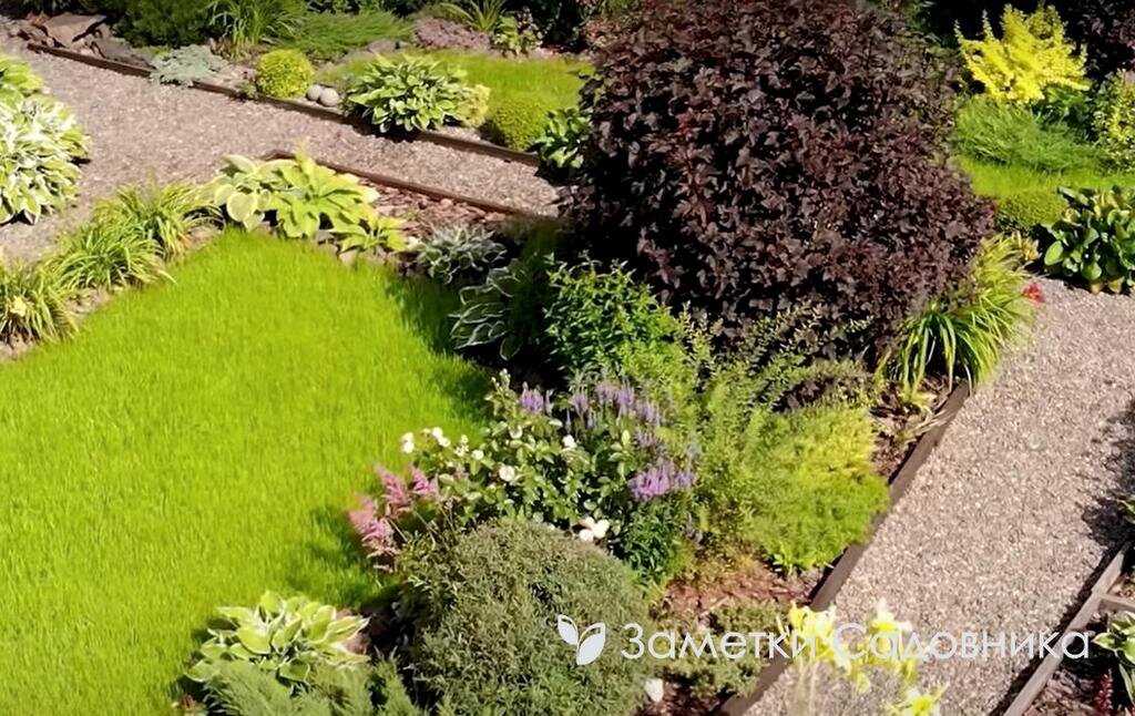 Небольшая площадь газона