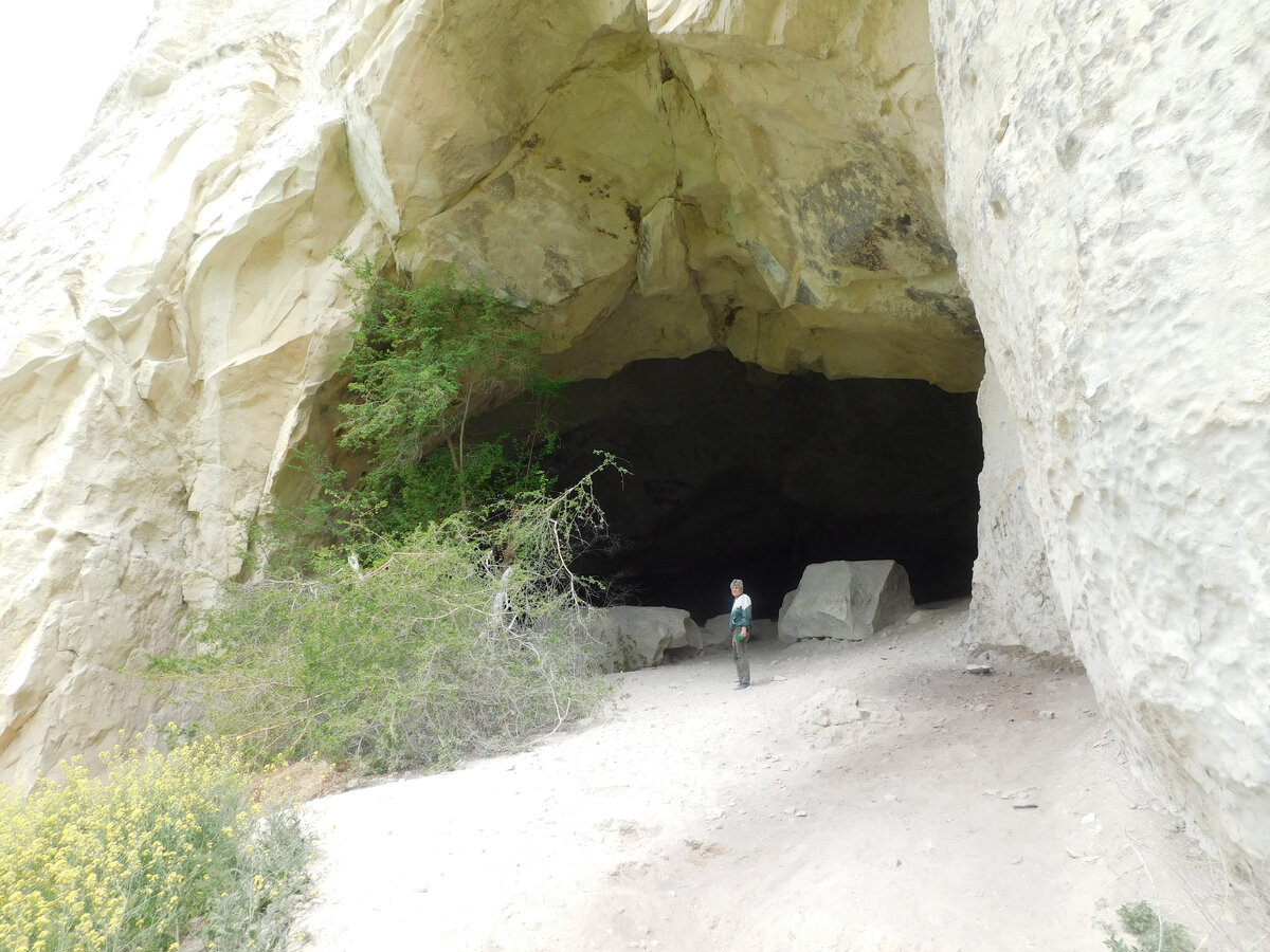 огромный куст боярышника у входа в пещеру (фото автора)