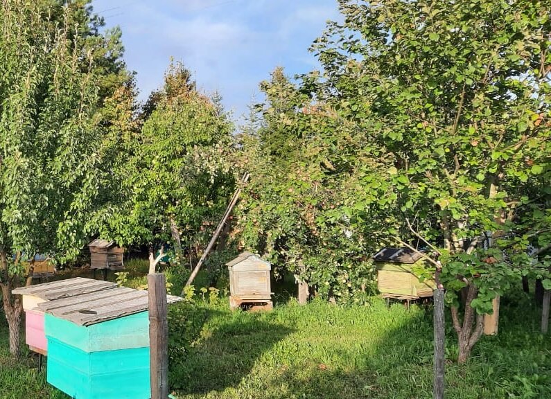 Пасека