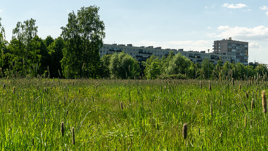 Полюстровский