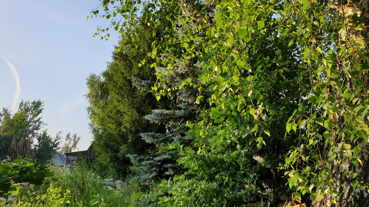 Где-то по Юпитером...