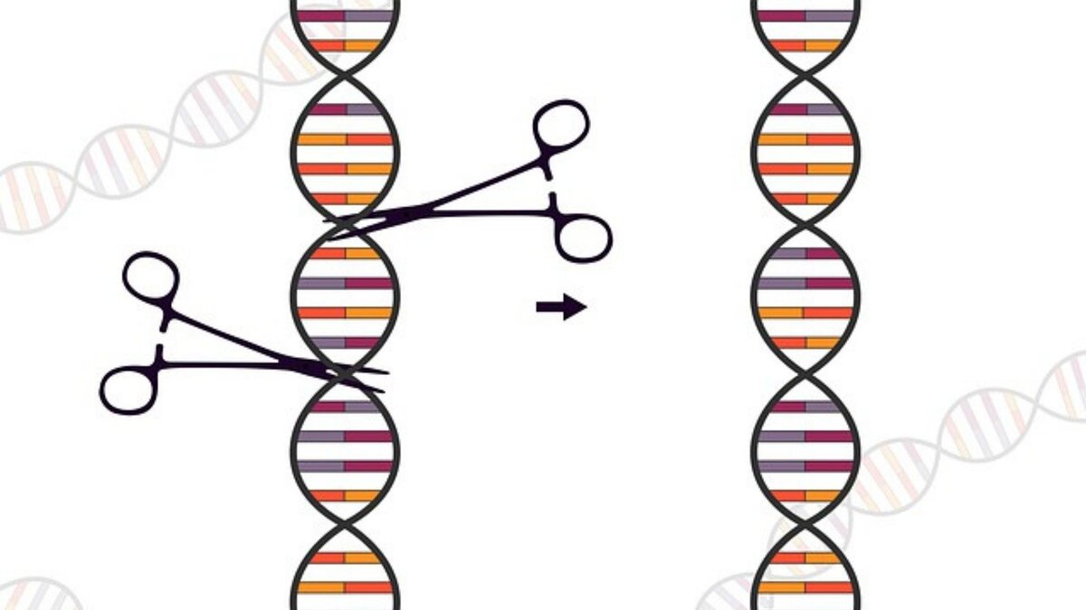 Генетические ножницы