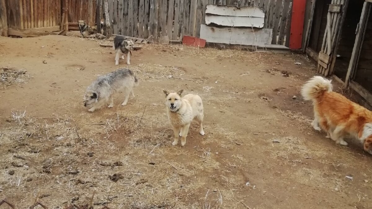 Мы вас ждем!