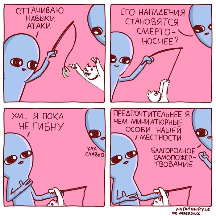 Источник: yandex.ru/images