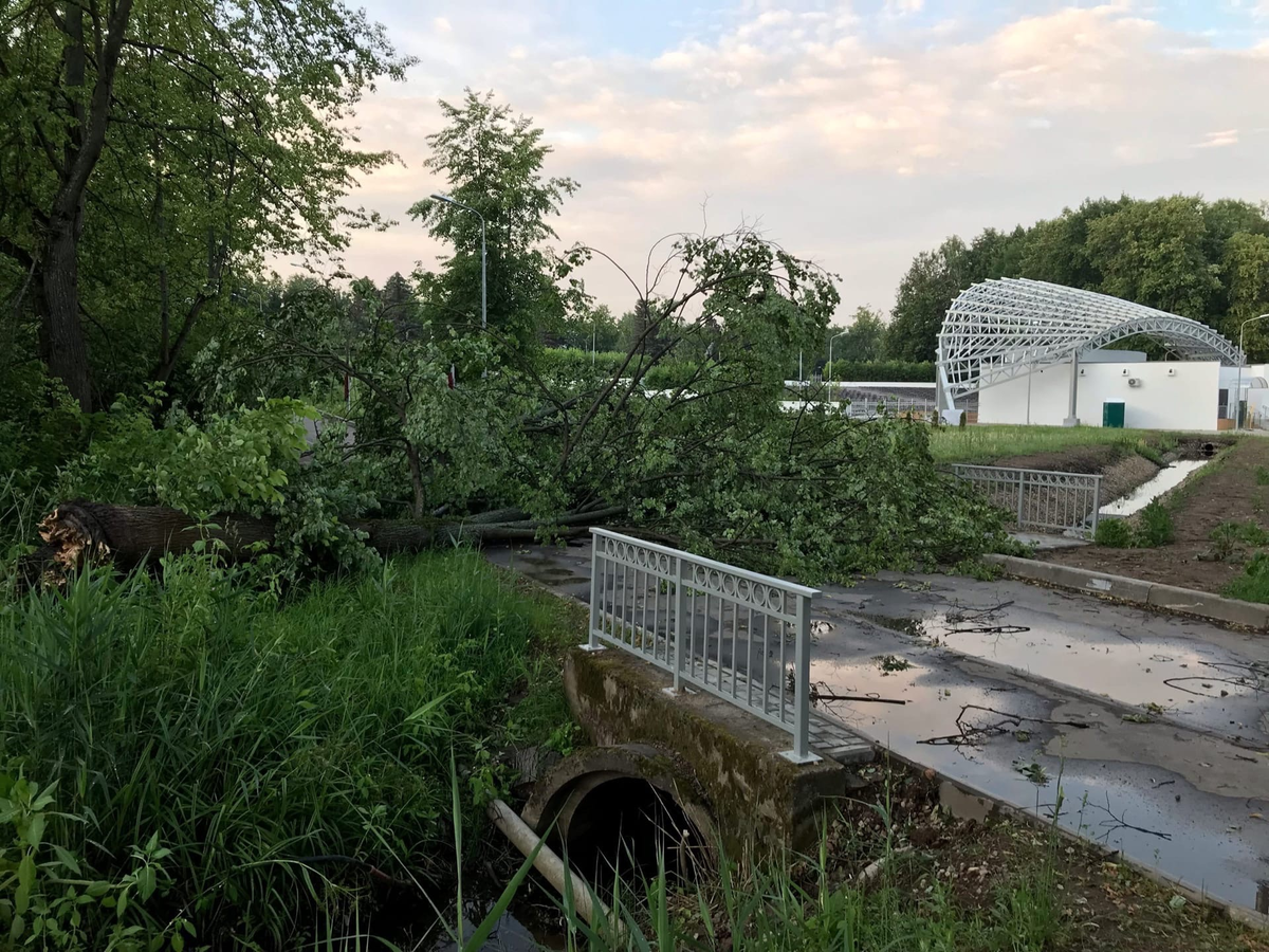 В Великих Луках целый год строили новый парк, но ураганом снесло все конструкции