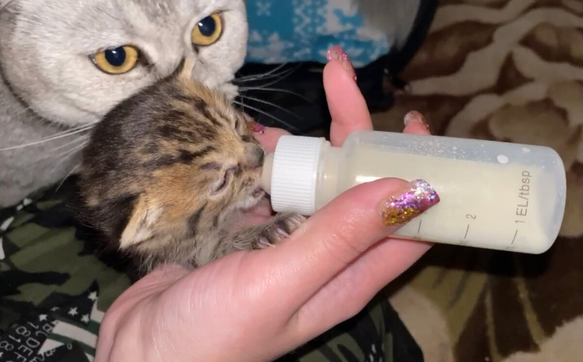 В тот день у Курской помойки остановилась машина. Из нее вышел мужчина с мусорным пакетом.-6