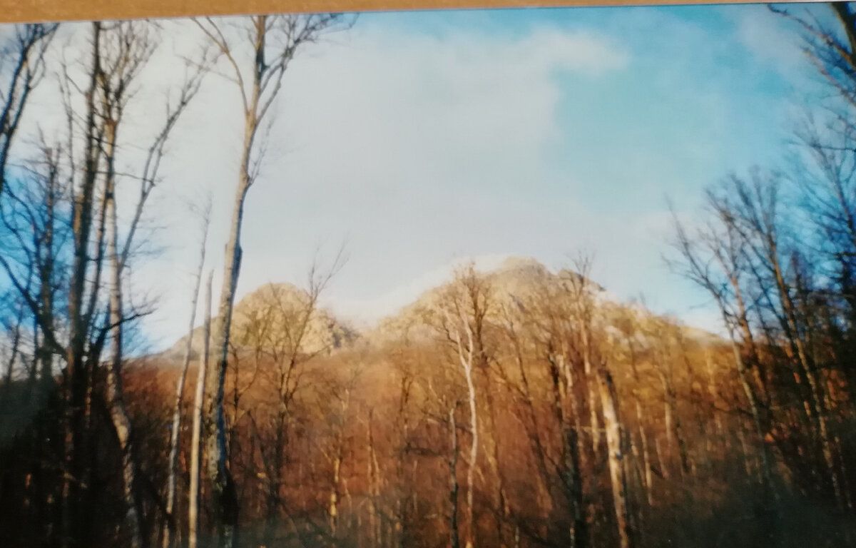 Два брата из старого фотоальбома