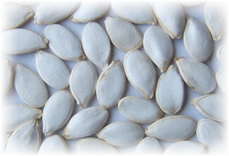 Выбор семян зависит от желаемых сроков получения урожая. Выращивание ранних кабачков даёт результаты не позднее двух месяцев. Позднеспелые сорта могут «сидеть» до октября. Соответственно среднеспелые кабачки – это те, срок созревания которых укладывается в летние месяцы. На пакетике с семенами соответствующие обозначения имеются. Можно приобрести сорта кабачков для выращивания, которые самоопыляются.