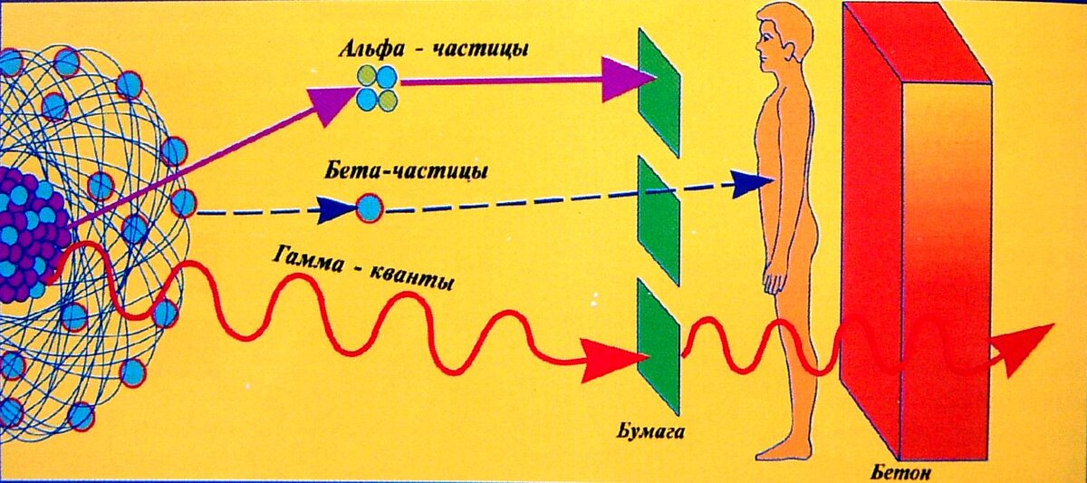Источник: http://900igr.net/kartinka/matematika/edinitsy-izmerenija-radioaktivnosti-141010/raznye-vidy-izluchenij-obladajut-raznoj-pronikajuschej-sposobnostju-3.html
