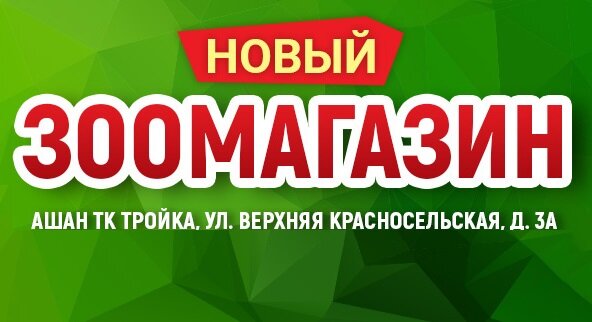 Динозаврик ТЦ АШАН (Верхняя Красносельская) 