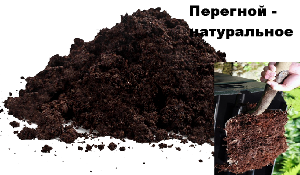 Перегной - это смесь грунта, в которой находятся перегнившие растительные и животные остатки