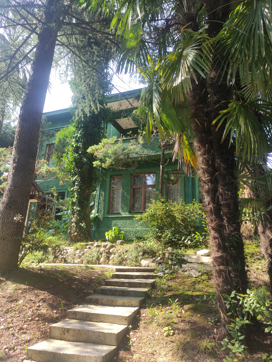 Дача Сталина затерялась среди деревьев.