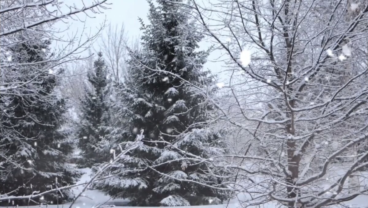 #звуки метели #звуки природы #для отдыха #для сна #для медитации 