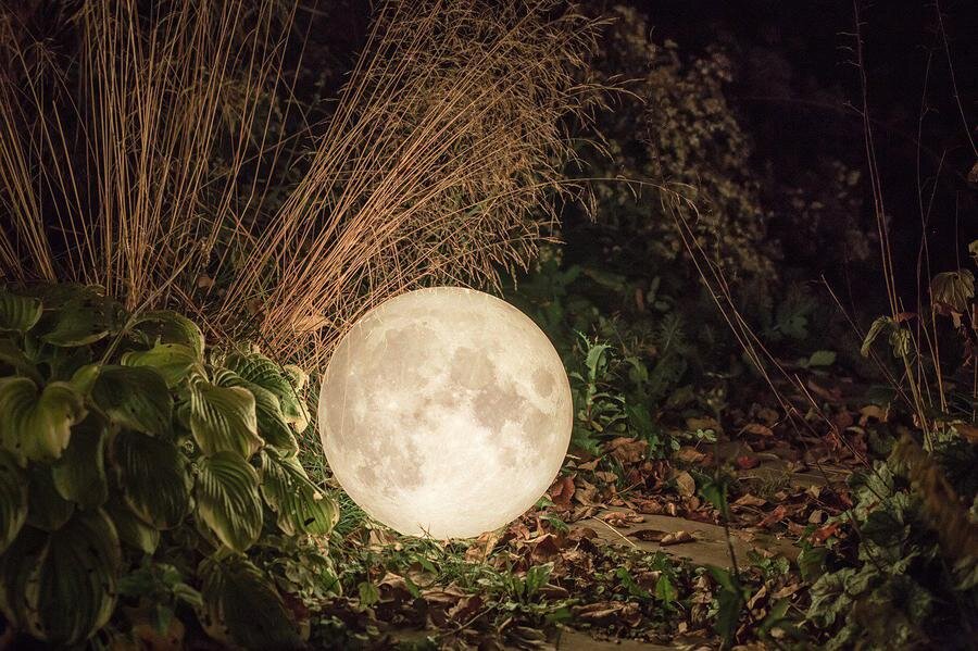 Фото: pixabay.com