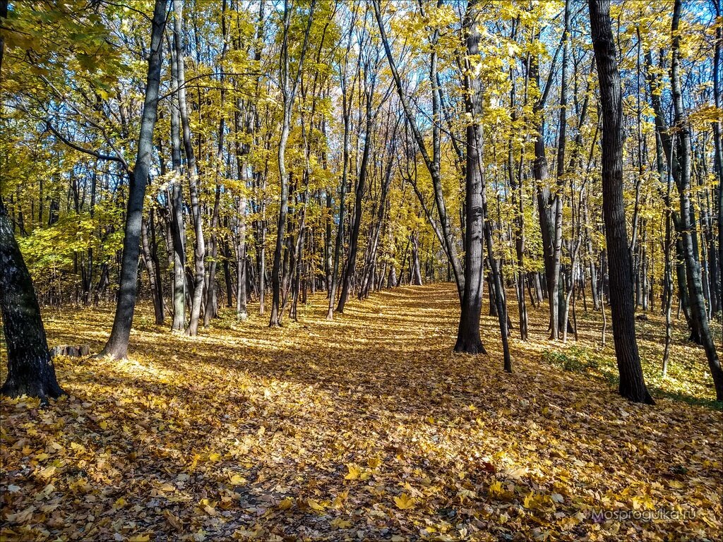 Усадьба Братцево