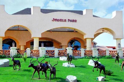 Фото из свободных источников