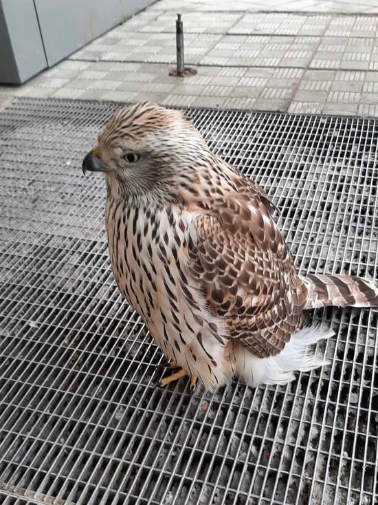 ФОТО: VK.COM ЛАРИСА ЦУПИКОВА