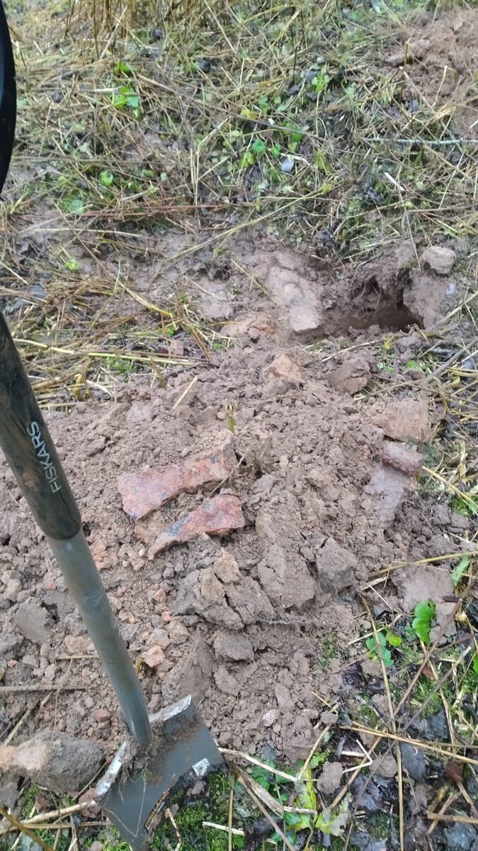 Пара топориков появились на свет.