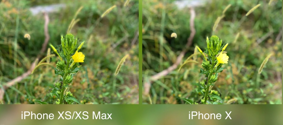 Автор фото - JustDay  