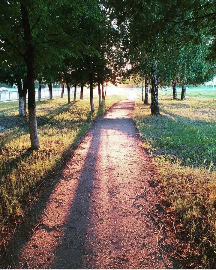 КУДА ВЕДУТ ДОРОГИ, КОТОРЫМИ МЫ ИДЁМ ПО ЗОВУ СЕРДЦА? И НУЖНЫ ЛИ МЫ КОМУ-НИБУДЬ В КОНЦЕ ПУТИ?