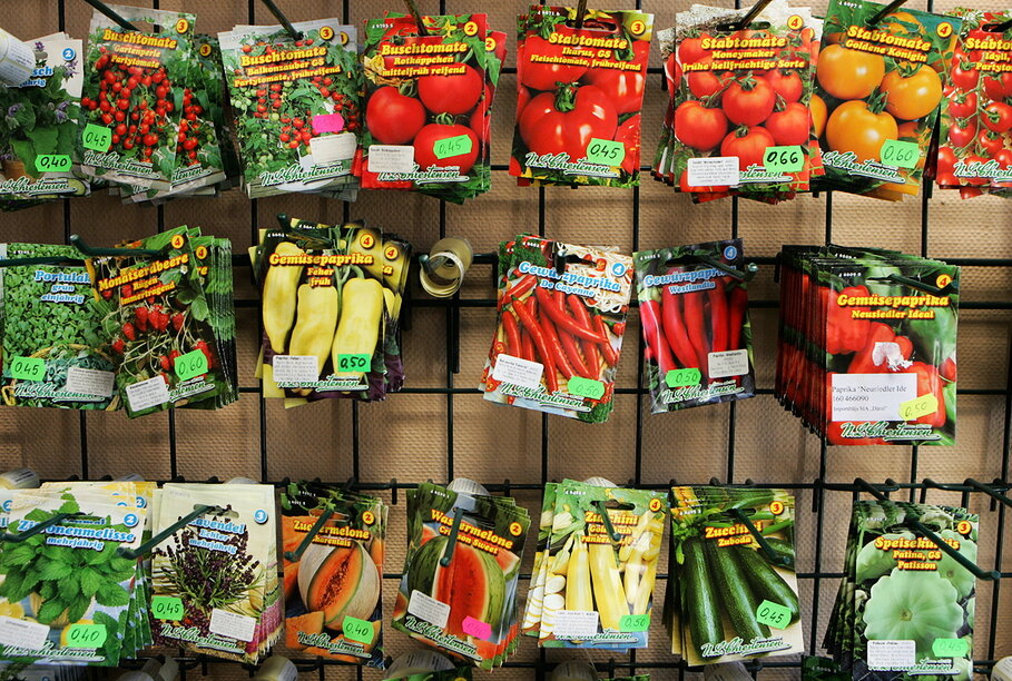 Магазин семена время работы. Магазин семена в Тамбове на Центральном рынке. Семенной магазин в Тамбове на рынке. Семена Тамбов Центральный рынок. Магазин семена на рынке.