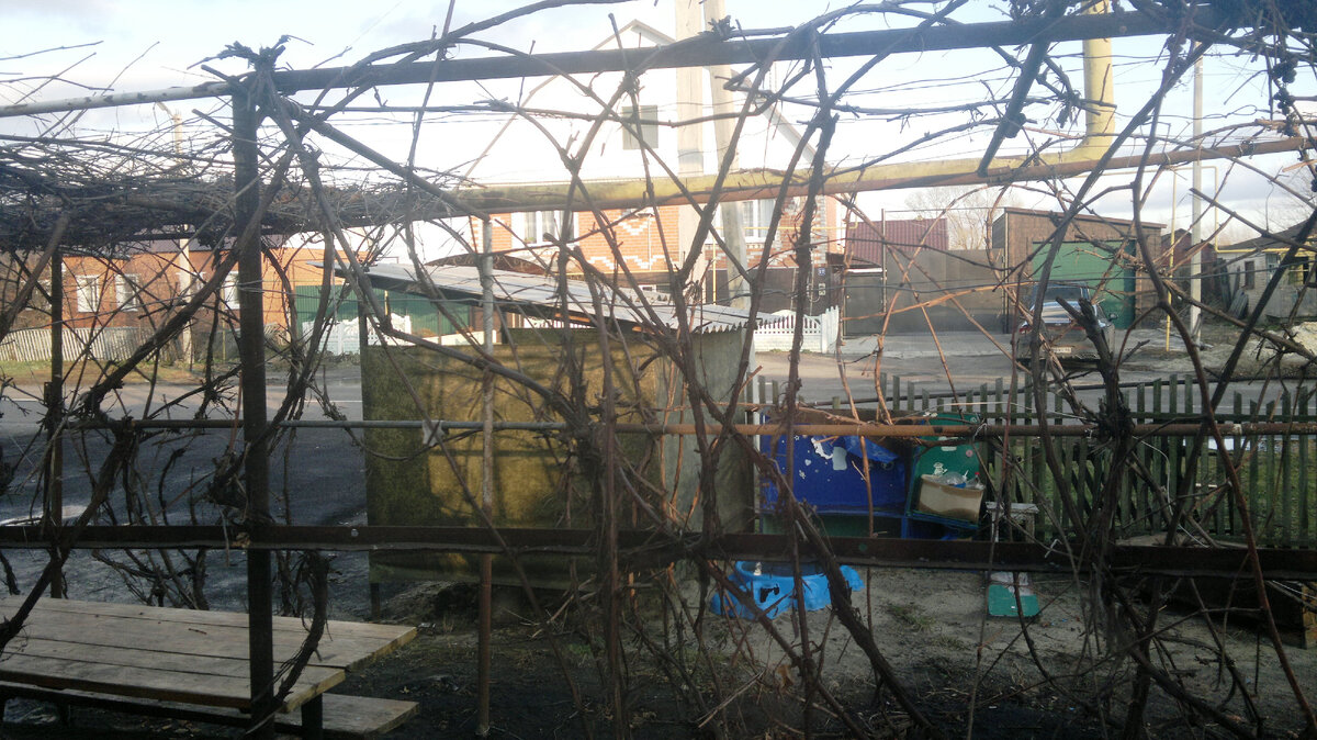 Фото автора