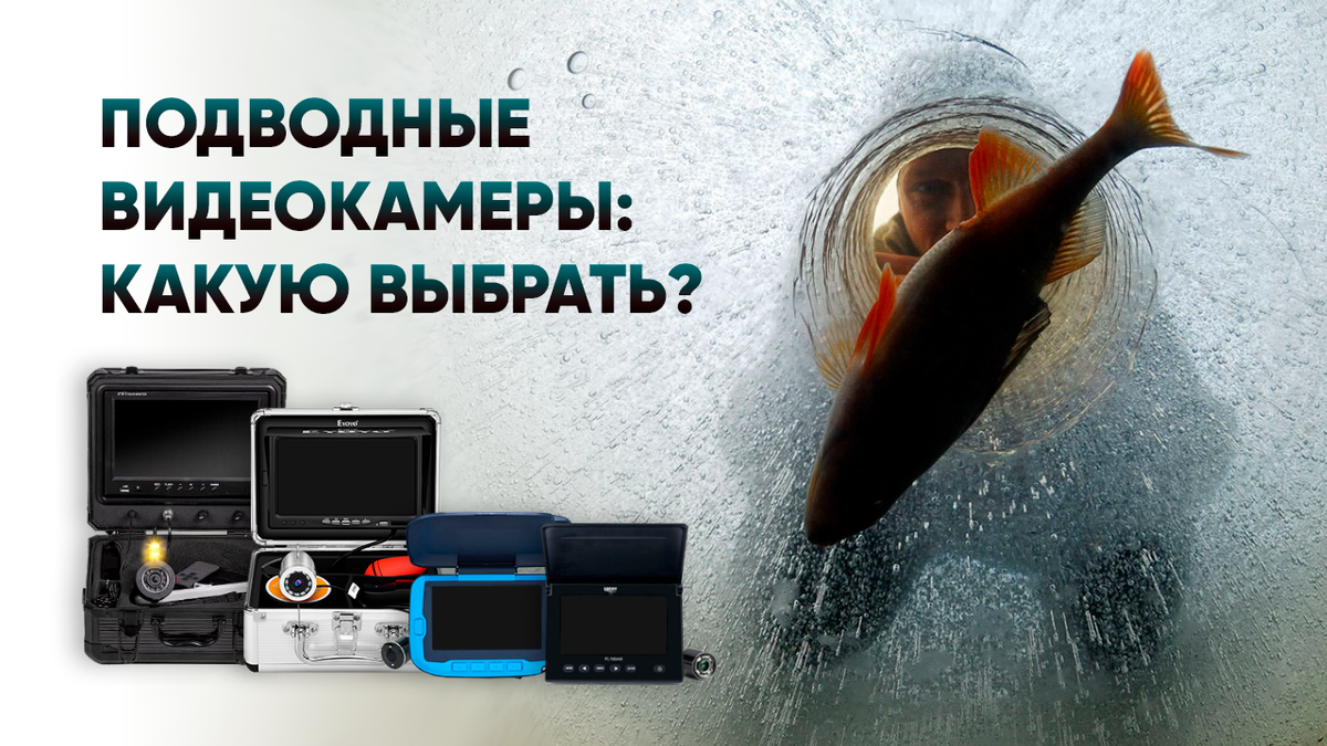 Как выбрать лучшую подводную камеру для зимней рыбалки? | Amazin.su ...