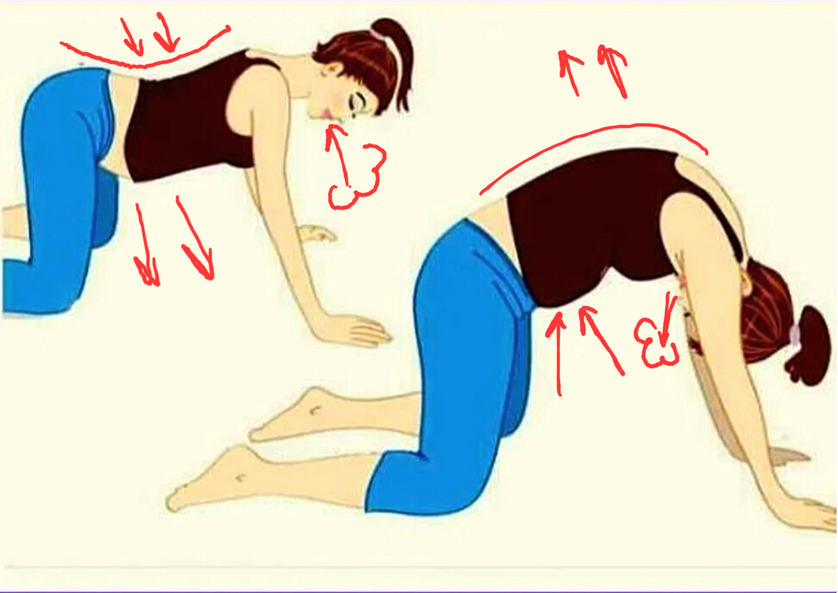 Делайте это простое упражнение с утра. Упражнения от диастаза живота у женщин. Разгрузить спину упражнения. Упражнения от диастаза у детей. Упражнения при диастазе у мужчин.