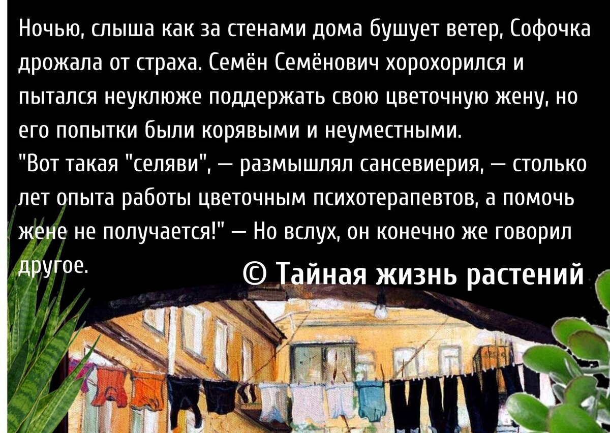 Цитата из книги автора, созданная в графическом редакторе