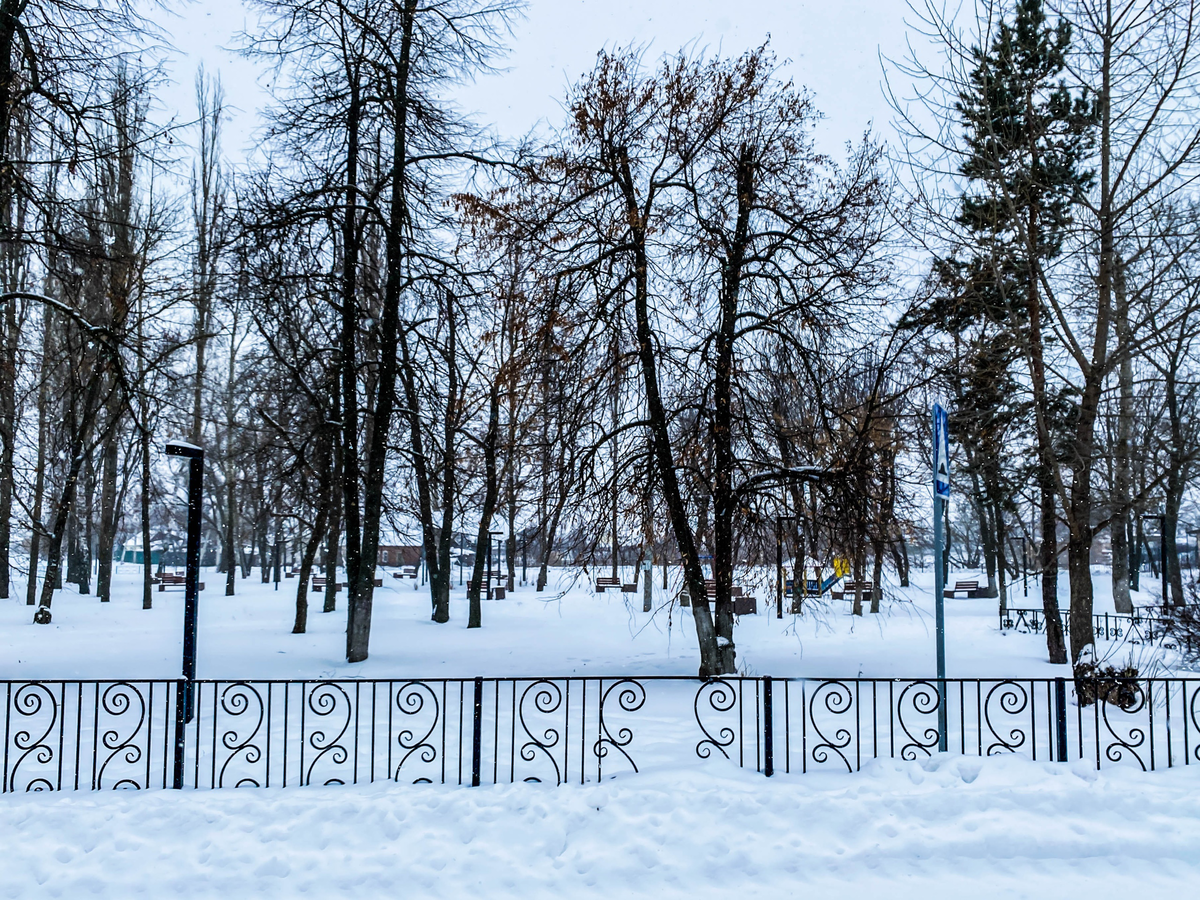 Заехали в село Рыкань Воронежской области. Посмотрели, как оно живёт и  пообщались с местной жительницей | Прекрасное рядом | Дзен